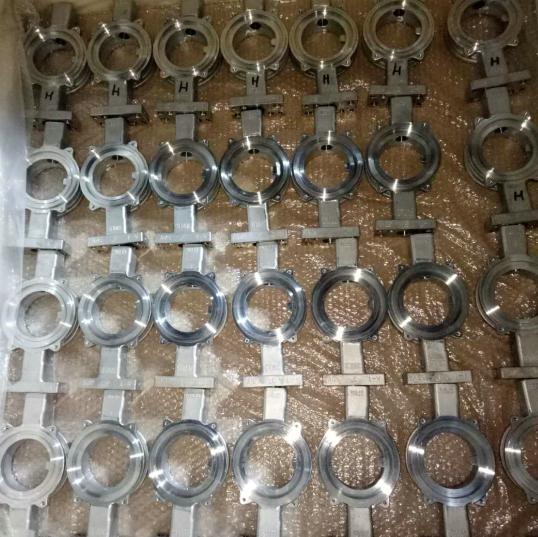 Butterfly Valve Body Disc